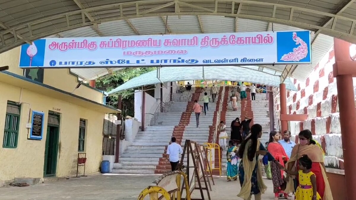 Maruthamalai: இயற்கை எழில் கொஞ்சும் மருதமலையில் அருள்பாவிக்கும் சுப்பிரமணிய சாமி - சிறப்புகள் என்னென்ன?