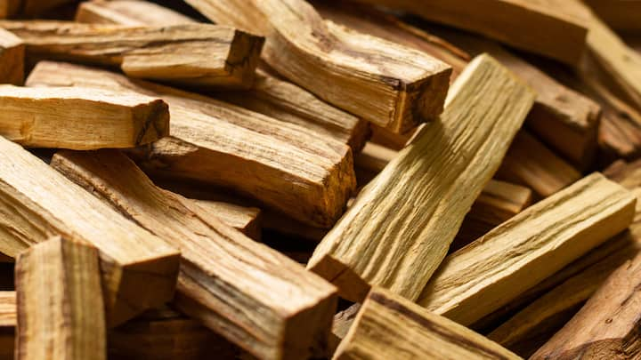 Sandalwood: Sandalwood has been used for centuries in skincare and is known for its cooling and soothing properties. This aromatic wood contains santalol, a compound known for its anti-inflammatory and antimicrobial benefits. Sandalwood can help soothe irritated skin, reduce redness, and relieve acne-prone areas. Its gentle exfoliating properties also help remove dead skin cells and give a more radiant complexion. (Image source: Canva)