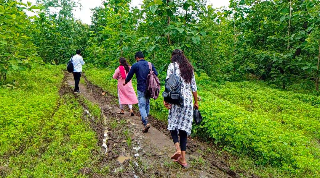 Mitta Waterfalls: తెలంగాణలో ఔరా అనిపించే మిట్ట జలపాతం, సప్తగుండాల వాటర్ ఫాల్స్ అని పేరెలా వచ్చింది?