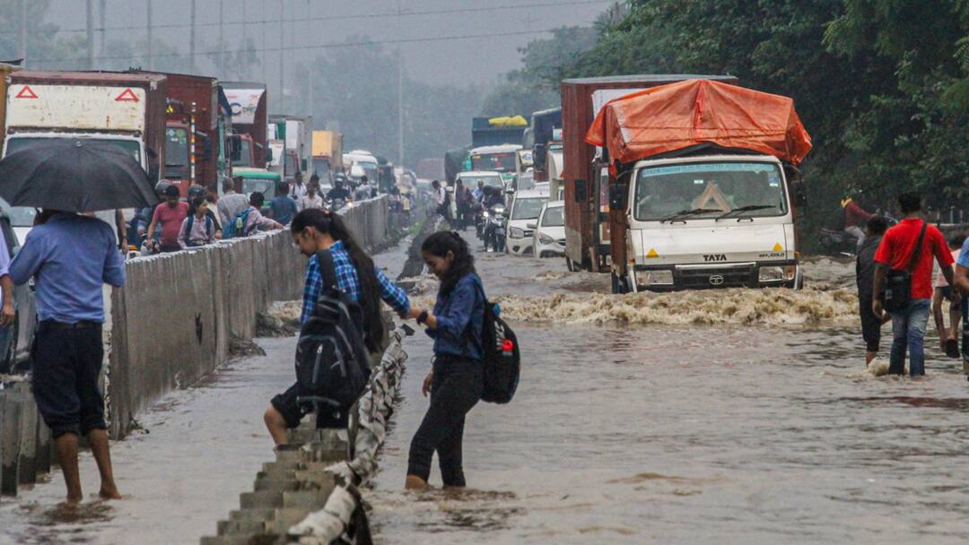 Gujarat Rain Forecast: આગામી 5 દિવસ આ જિલ્લામાં વરસશે વરસાદ, હવામાન વિભાગની આગાહી In Gujarat, there will be rain in this district for the next 5 days, according to the forecast of the Meteorological Department Gujarat Rain Forecast: આગામી 5 દિવસ આ જિલ્લામાં વરસશે વરસાદ, હવામાન વિભાગની આગાહી