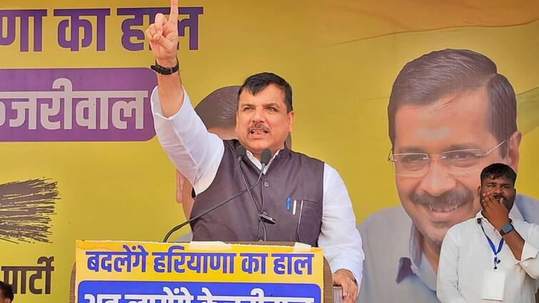 Haryana Assembly Election AAP leader Sanjay Singh attacked BJP in Ambala election rally ANN Haryana Election: 'विनेश फोगाट को साजिश के तहत पदक से वंचित किया गया', अंबाला में संजय सिंह ने साधा निशाना