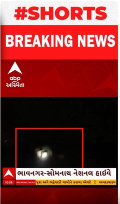 Amreli Updates | સહેજ બ્રેકથી બચી ગયો સિંહ પરિવાર, વાહનચાલકે અચાનક મારી બ્રેક