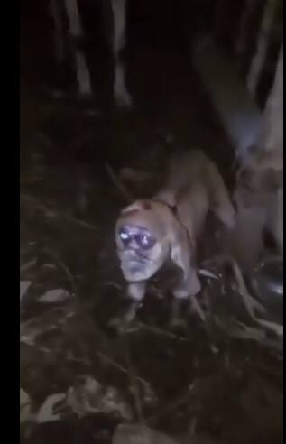 ਇਨ੍ਹਾਂ ਤਸਵੀਰਾਂ ਨੂੰ ਦੇਖ ਕੇ ਲੋਕ ਕਾਫੀ ਹੈਰਾਨ ਹਨ। ਲੋਕ ਇਸ ਅਦਭੁਤ ਨਜ਼ਾਰੇ ਨੂੰ ਕੁਦਰਤ ਦਾ ਚਮਤਕਾਰ ਮੰਨ ਰਹੇ ਹਨ। ਆਓ ਜਾਣਦੇ ਹਾਂ ਕੀ ਹੈ ਪੂਰਾ ਮਾਮਲਾ?