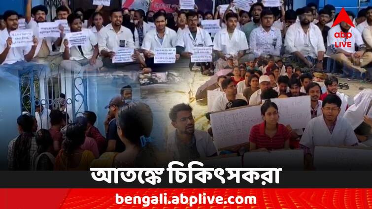 West Bengal Doctors Security Jalpaiguri Purulia Hospital Situation WB Doctors Security: নিরাপত্তা-সঙ্কটে চিকিৎসকরা, জেলার হাসপাতালের অবস্থা কেমন?