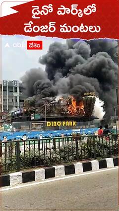 డైనో పార్క్‌లో డేంజర్ మంటలు