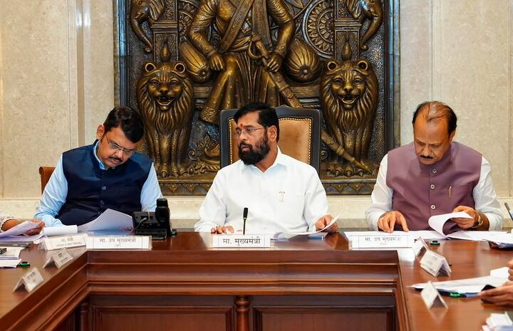 एनसीपी (अजित पवार गुट) के मुखिया के मुताबिक, यही वजह (एडजस्टमेंट करने के संदर्भ में) रही थी कि स्ट्राइक रेट कम हुआ वरना यह 50% रहता था.