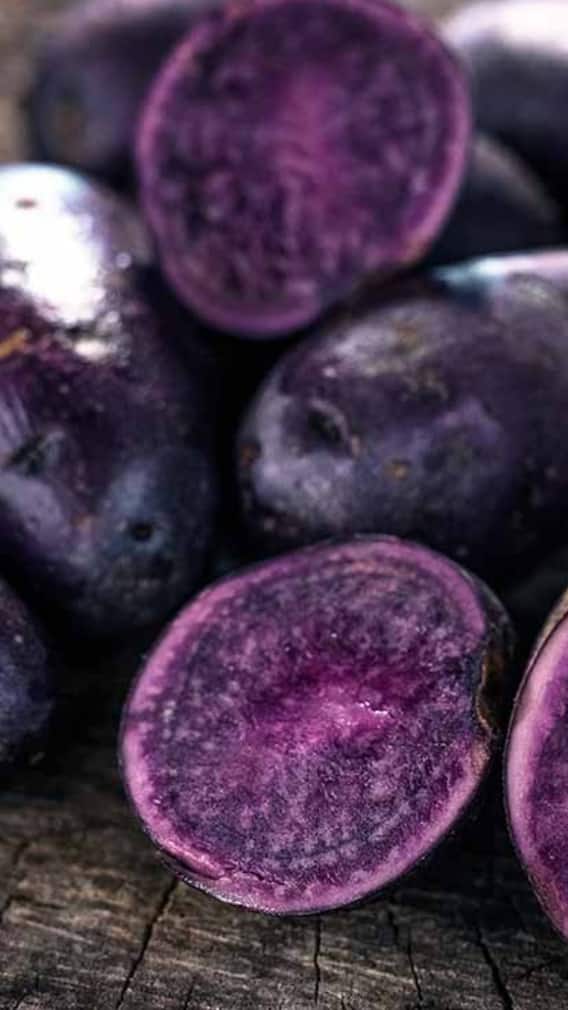 ਆ ਗਏ ਜਾਮਨੀ ਰੰਗ ਦੇ ਆਲੂ ਦਿਨਾਂ 'ਚ ਹੀ ਫਸਲ ਹੋ ਜਾਵੇਗੀ ਤਿਆਰ