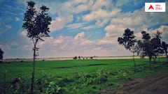 బెల్లంపల్లిలో గాలి నాణ్యత ఎలా ఉంది? విజయనగరంలో ఎయిర్ క్వాలిటీ ఇండెక్స్ ఏం చూపిస్తోంది?