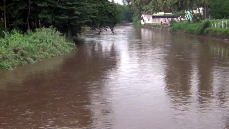 Varaha river, Kumbakarai falls due to echo of heavy rains in Theni தேனியில் கொட்டித்தீர்த்த கன மழை: வராக நதி , கும்பக்கரை அருவியில் வெள்ளப்பெருக்கு