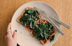 Curd Sandwich : தயிரில் சான்விச்.. சத்தான இந்த சிற்றுண்டியை குழந்தைகளுக்கு செய்து கொடுங்க!