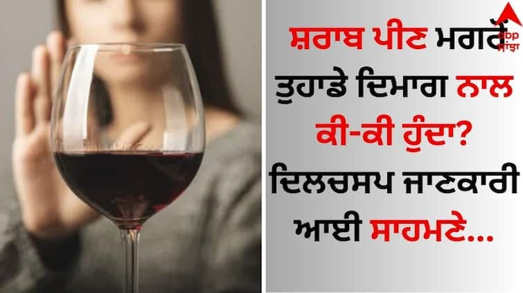 What happens to your brain after drinking alcohol? Interesting information came out know here ABBP Alcohol Effects On Brain: ਸ਼ਰਾਬ ਪੀਣ ਮਗਰੋਂ ਤੁਹਾਡੇ ਦਿਮਾਗ ਨਾਲ ਕੀ-ਕੀ ਹੁੰਦਾ? ਦਿਲਚਸਪ ਜਾਣਕਾਰੀ ਆਈ ਸਾਹਮਣੇ