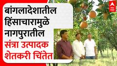 Nagpur Orange Farming : बांगलादेशातील हिंसाचारामुळे नागपुरातील संत्रा उत्पादक शेतकरी चिंतेत