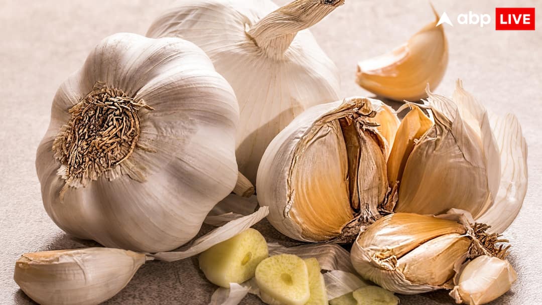 garlic spice or vegetable Madhya Pradesh High Court gave the right answer where did garlic come from लहसुन मसाला है या सब्जी? मध्य प्रदेश हाईकोर्ट ने दे दिया इसका सही जवाब
