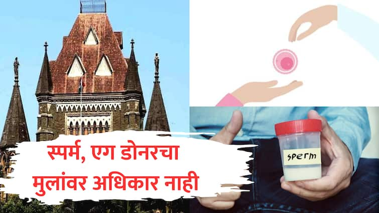 Sperm or egg donor has no legal right on child cant claim to be biological parent mumbai high court marathi news स्पर्म किंवा एग डोनरचा मुलांवर कायदेशीर अधिकार नाही, बायोलॉजिकल पालकपदाचा दावा हायकोर्टाने फेटाळला