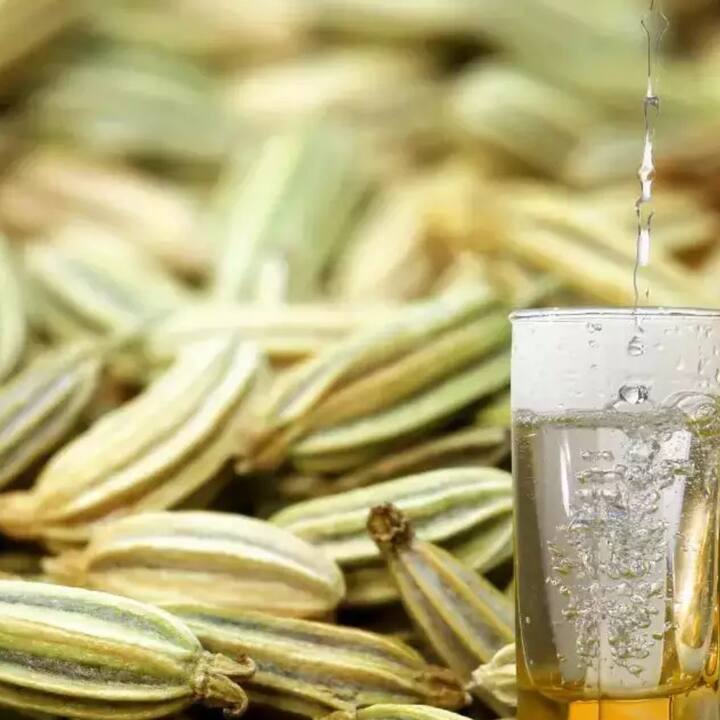 If you are drinking fennel water on an empty stomach, then it will relieve your digestive problems. It contains essential oils like antol, fenchone and estro gol, which provide relief from stomach gas, constipation or bloating.