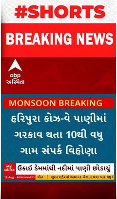 Ukai Dam Impact| નદીમાં પાણી છોડાતા બારડોલી કોઝ વે પાણીમાં ગરકાવ | Abp Asmita