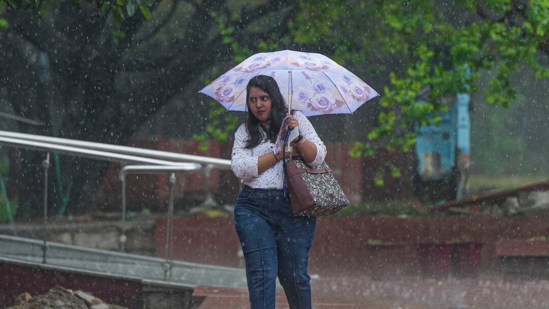 Weather Update: Heavy Rains Likely In Delhi On Independence Day As IMD Issues 'Yellow' Alert. Check Forecast IMD Weather Rain Update Heavy Showers In Delhi On Independence Day Yellow Alert Check Forecast Weather Update: Heavy Rains Likely In Delhi On Independence Day As IMD Issues 'Yellow' Alert. Check Forecast