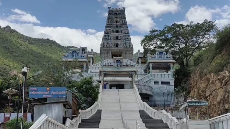 What are the special features of the Subramanya Sami Temple in Maruthamalai Maruthamalai: இயற்கை எழில் கொஞ்சும் மருதமலையில் அருள்பாவிக்கும் சுப்பிரமணிய சாமி - சிறப்புகள் என்னென்ன?