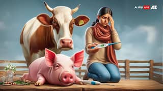 Malta Fever : लगातार बढ़ रहा है माल्टा फीवर का खतरा, जानें क्या हैं इस बीमारी के लक्षण और कैसे करें बचाव