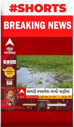 Navsari | પાલિકાના તળાવમાં જળકુંભીનું સામ્રાજ્ય, જુઓ શોર્ટ વીડિયોમાં