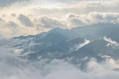 Monsoon Health Care : மழைக்கால நோய்களில் இருந்து தப்பிக்க இதை செய்யுங்க!