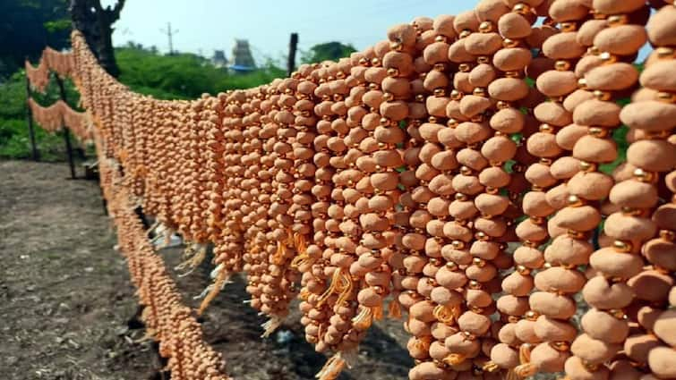 Thanjavur Special Sandal garland all you need to know about tanjore santhanamalai - TNN கமகமன்னு வாசனைப்பா... இதுதான் சந்தன மாலையப்பா: இதுல ஸ்பெஷலு தஞ்சாவூருப்பா!!!