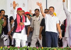 उप-चुनाव के पहले 'यूपी के दो लड़कों' की जुदा हो जाएगी राह? बनने लगा दबाव, इन सीटों पर हो सकती है मार!