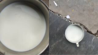 Worm in the bag of milk? The people of Salem were shocked and the officials rushed. Aavin Milk Issue: ஆவின் பால் பாக்கெட்டில் புழு? அதிர்ச்சியடைந்த சேலம் மக்கள்... விரைந்து வந்த அதிகாரிகள்.