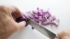 Hair Care Tips: অঝোরে ঝরছে চুল? নারকেল তেলে মেশান এই উপাদান