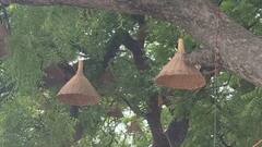 अयोध्या की लाइट चोरी तो कर ली लेकिन बेचना होगा मुश्किल, शातिर चोरों के सामने है ये परेशानी