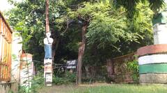 फांसी इमली आजादी के दीवानों के बलिदान का है गवाह, अब बदहाली का है शिकार