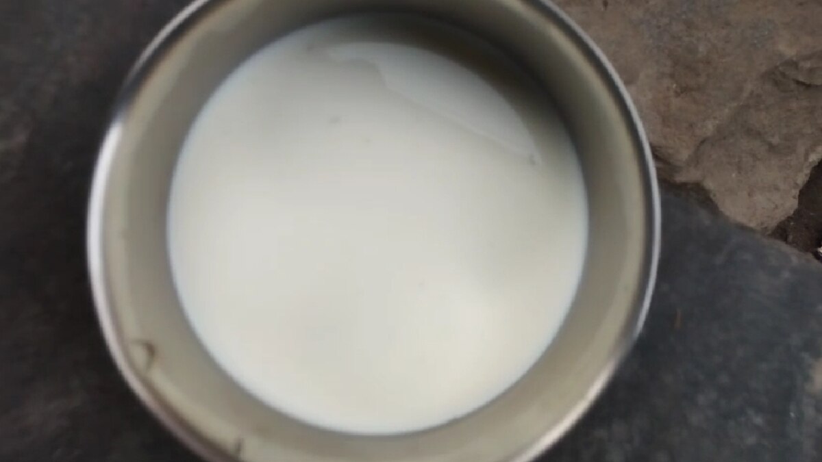 Aavin Milk Issue: ஆவின் பால் பாக்கெட்டில் புழு? அதிர்ச்சியடைந்த சேலம் மக்கள்... விரைந்து வந்த அதிகாரிகள்.