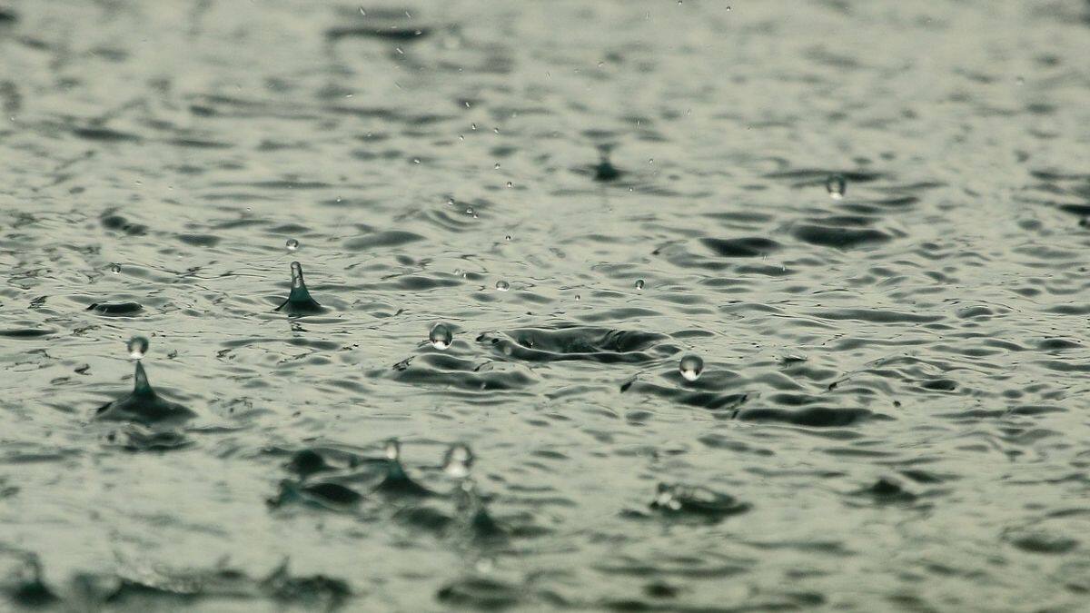 TN Rain: அடுத்த 2 நாட்களுக்கு மழை தொடரும்; எந்தெந்த மாவட்டங்கள் தெரியுமா? தெரிஞ்சிக்கோங்க!