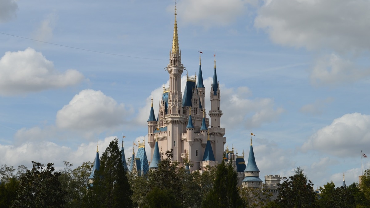 Sued For ‘Wrongful Death’, Disney Cites US Widower’s App Subscription ...