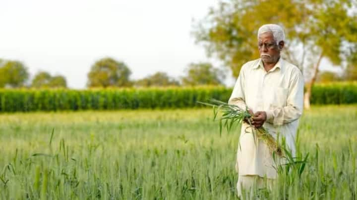 साल 2023 में इस योजना का पहला चरण मुरादाबाद,मेरठ, बरेली, गोरखपुर, लखनऊ और सहारनपुर मंडल में शुरू किया गया था. जिसके तहत 25140 किसानों को 202 करोड़ रुपये दिए जा चुके हैं.
