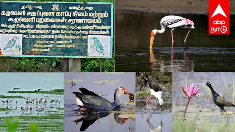 Marakkanam kazhuveli bird sanctuary announced as new Ramsar site 2024 புதிய ராம்சார் தளமாக மரக்காணம் கழுவெளி பறவைகள் சரணாலயம் அறிவிப்பு...