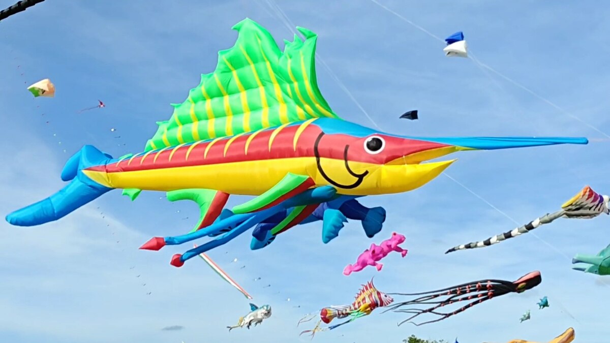 Kite Festival 2024 : பறக்குது பறக்குது கலர் கலர் பட்டம்..! சென்னை மக்களே மிஸ் பண்ணிடாதீங்க..! 