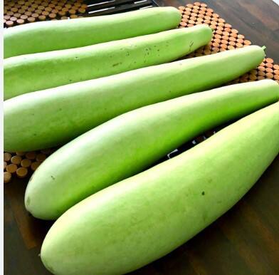 ਤੁਸੀਂ ਆਪਣੀ ਖੁਰਾਕ ਵਿੱਚ ਘੀਏ ਦੀ ਸਬਜ਼ੀ, ਘੀਏ ਦਾ ਚੀਲਾ ਅਤੇ ਜੂਸ ਦੇ ਰੂਪ ਦੇ ਵਿੱਚ ਸ਼ਾਮਲ ਕਰ ਸਕਦੇ ਹੋ। ਇਸ ਤੋਂ ਇਲਾਵਾ ਤੁਸੀਂ ਘੀਏ ਦਾ ਸੂਪ ਵੀ ਪੀ ਸਕਦੇ ਹੋ।