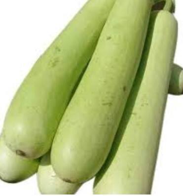 ਘੀਏ 'ਚ ਮੌਜੂਦ ਫਾਈਬਰ ਅਤੇ ਮੋਟਾਪਾ ਭਾਰ ਘਟਾਉਣ 'ਚ ਕਾਰਗਰ ਹੈ। ਇਸ ਦਾ ਸੇਵਨ ਕਰਨ ਨਾਲ ਤੁਹਾਡਾ ਮੈਟਾਬੋਲਿਜ਼ਮ ਤੇਜ਼ ਹੁੰਦਾ ਹੈ ਜਿਸ ਨਾਲ ਭਾਰ ਘਟਾਉਣਾ ਆਸਾਨ ਹੋ ਜਾਂਦਾ ਹੈ।