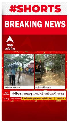Gandhinagar News: કંથારપુરાના વડનું વૃક્ષ ક્ષતિગ્રસ્ત થયાના abp અસ્મિતાના અહેવાલની સૌથી મોટી અસર