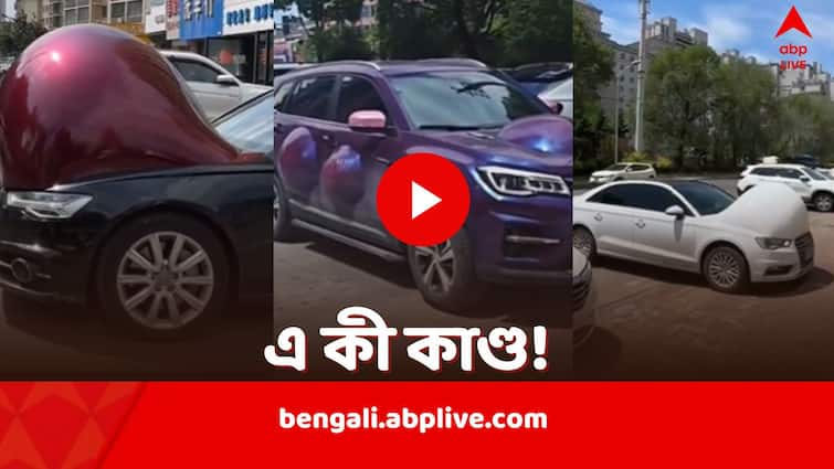 রাস্তায় নামাতেই ‘গর্ভবতী’? স্ফীতোদর নিয়ে দাঁড়িয়ে সারি সারি গাড়ি, অদ্ভুতকাণ্ড চিনে