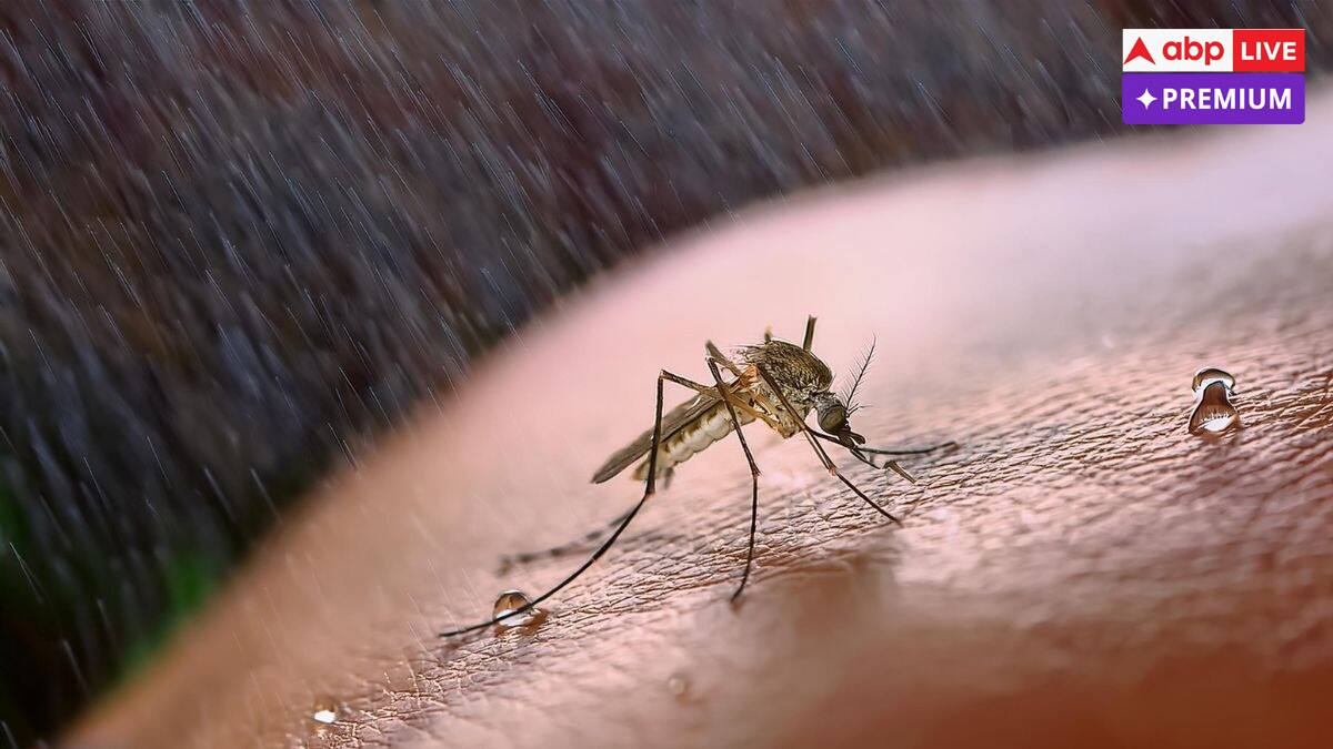 बरसात में सिर्फ मच्छर के काटने से हो सकती हैं इतनी बीमारियां, जरा-सी लापरवाही ले सकती है जान