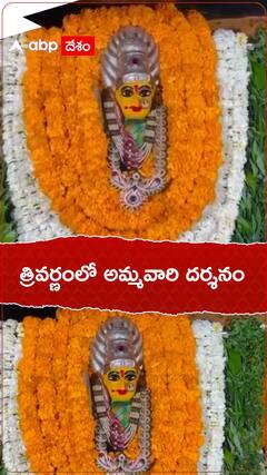 త్రివర్ణంలో అమ్మవారి దర్శనం