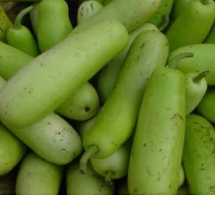 ਘੀਆ ਪੇਟ ਲਈ ਬਹੁਤ ਫਾਇਦੇਮੰਦ ਹੈ।  ਇਸ ਦਾ ਸੇਵਨ ਕਰਨ ਨਾਲ ਤੁਹਾਡੀ ਪਾਚਨ ਕਿਰਿਆ ਠੀਕ ਹੁੰਦੀ ਹੈ ਅਤੇ ਕਬਜ਼ ਵਰਗੀਆਂ ਬਿਮਾਰੀਆਂ ਨਹੀਂ ਹੁੰਦੀਆਂ ਅਤੇ ਇਹ ਤੁਹਾਡੇ ਸਰੀਰ ਨੂੰ ਡੀਟੌਕਸ ਵੀ ਕਰਦਾ ਹੈ।