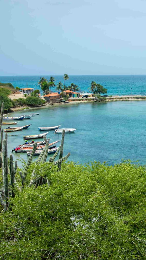 वेनेजुएला में कितनी है भारतीय रुपये की कीमत