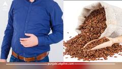 ਇਨ੍ਹਾਂ ਬਿਮਾਰੀਆਂ ਤੋਂ ਪੀੜਤ ਲੋਕ ਅਲਸੀ ਦੇ ਬੀਜ ਖਾਣ ਤੋਂ ਕਰਨ ਪਰਹੇਜ਼, ਨਹੀਂ ਤਾਂ ਫਾਇਦੇ ਦੀ ਜਗ੍ਹਾ ਹੋ ਸਕਦਾ ਨੁਕਸਾਨ