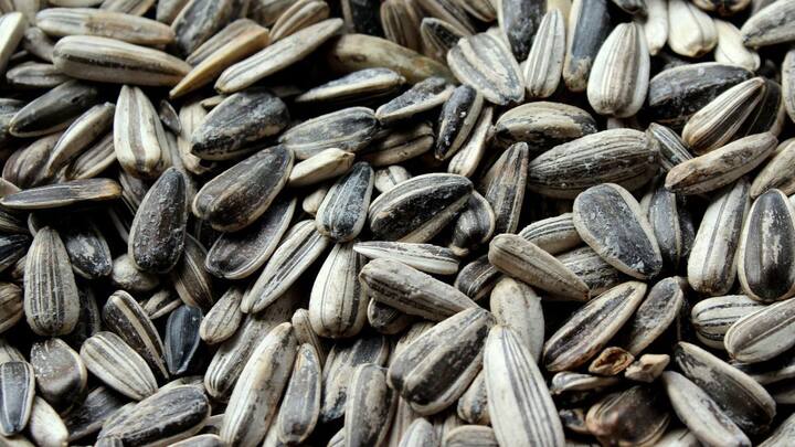 செரோடோனின் உற்பத்தியில் ஈடுபடும் அமினோ அமிலமான டிரிப்டோபனின் நல்ல மூலமாகும். போதுமான செரோடோனின் அளவுகள் மனநிலை கட்டுப்பாடு மற்றும் நல்வாழ்வு உணர்வுடன் தொடர்புடையது.