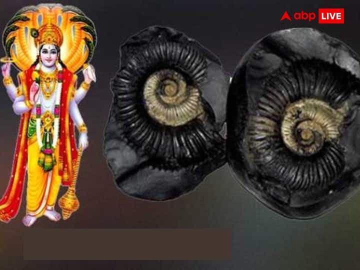 सावन पुत्रदा एकादशी के पारण में श्रीहरि को केसर का तिलक लगाएं और फिर स्वंय भी टीका करें. भोग लगाएं साथ ही ब्राह्मण को दान दें. इसके बाद ही निवाला ग्रहण करें.