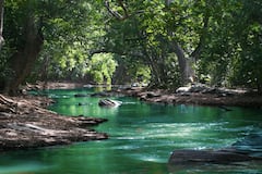 भारत की वो नदी जिसे कहा जाता है श्रापित, नहाने से भी कतराते हैं लोग