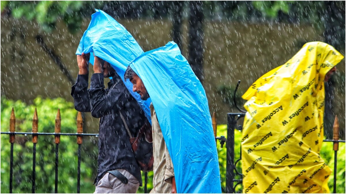 MP Rains: लबालब हो गए हैं एमपी के डैम, तीन दिन बाद फिर शुरू होगा झमाझम बारिश का दौर